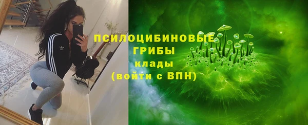 прущие грибы Костерёво