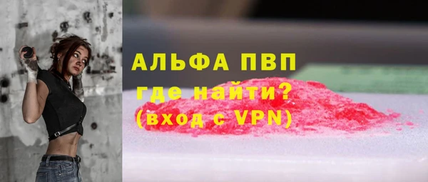 гидра Корсаков
