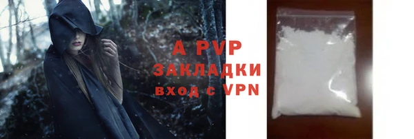 прущие грибы Костерёво