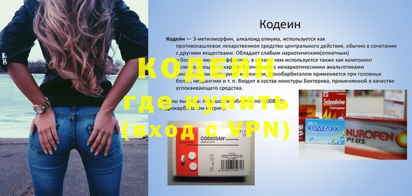гидра Корсаков