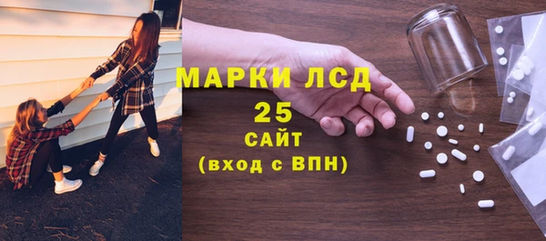 прущие грибы Костерёво