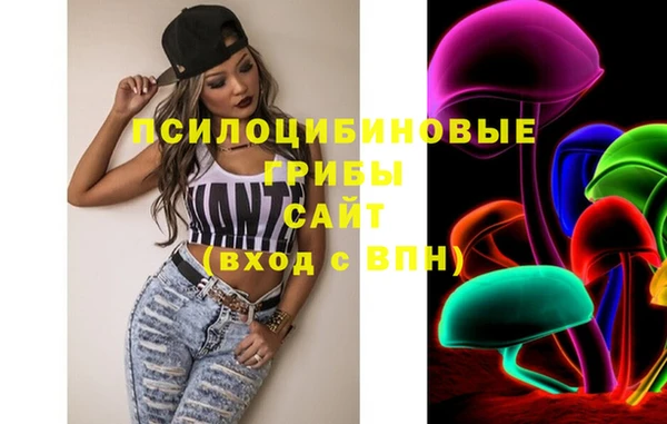 прущие грибы Костерёво