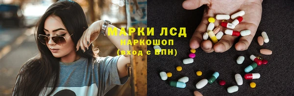 прущие грибы Костерёво