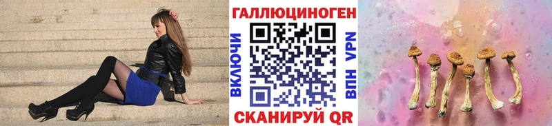 Галлюциногенные грибы Psilocybine cubensis  Курчатов 