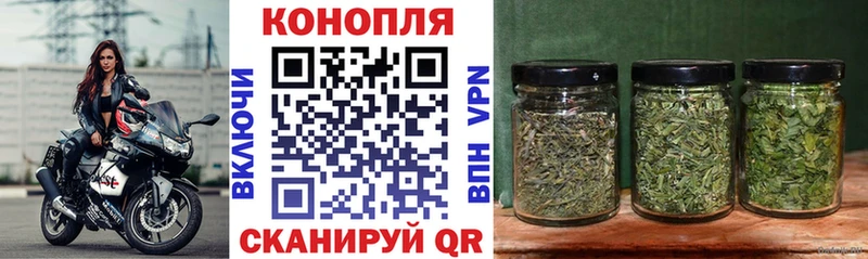 Конопля White Widow  Курчатов 
