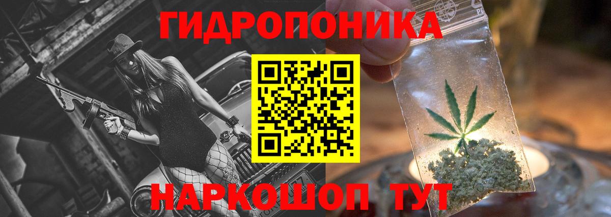 Курчатов  Шишки марихуана планчик  Бошки марихуана план  Вход с VPN 